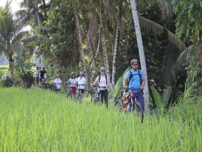 Bali DownHill Cycling Tour